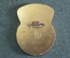 Знак значок "РПТ Севастопольский". Торговля. Райпищеторг. СССР.