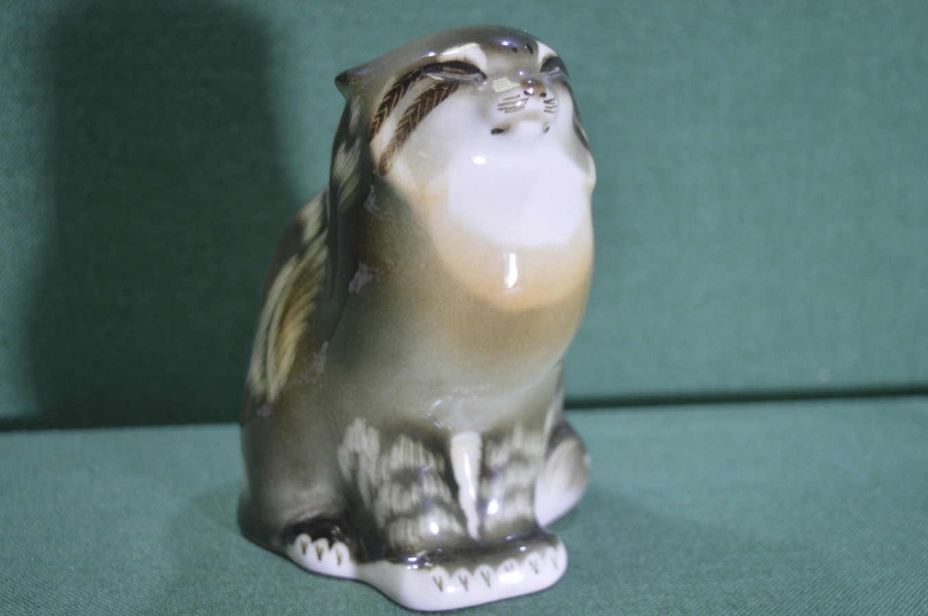 Камышовый кот купить