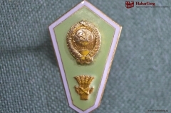 Знак, значок, ромб "Сельскохозяйственный ВУЗ, выпускник". Сельское хозяйство. Легкий металл. ЛМД.