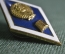Знак, значок, ромб "Педагогический ВУЗ, училище. Выпускник". Накладной, тяжелый металл. Винт.
