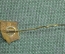 Знак, значок, фрачник "Динамо, Спортивный клуб". Спорт. Заколка, тяжелый металл, эмали.