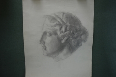 Картина, рисунок, набросок "Голова античной скульптуры". Бумага, карандаш.
