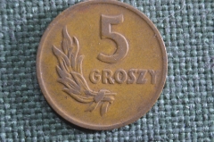 Монета 5 грошей 1949 года, Польша. Groszy, Rzeczpospolita Polska.