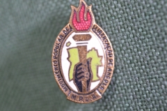 Знак, значок "Партия труда освобождения Анголы, MPLA". Тяжелый металл. Ангола