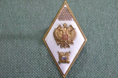 Знак, значок, ромб "ВУЗ, Академия МВД. Полиция РФ". Дефект.