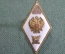 Знак, значок, ромб "ВУЗ, Академия МВД. Полиция РФ". Дефект.