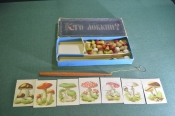 Игра настольная 