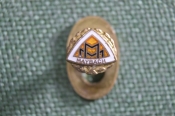 Знак значок петлица 