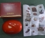Тени "Pupa Mini Mini". Косметика. Коробка. Инструкция. Новая. Винтаж. Италия.