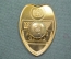 Знак должностной бляха жетон "Vision Group. Health Guard". Медицина. 