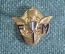Знак значок фрачный "Федерация Мотоспорта Италии FIM". Италия. Bertoni Milano. 1960е.