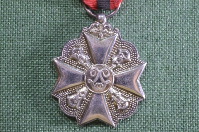 Медаль (орден) За гражданские заслуги, службу. Гражданский знак отличия, выслуга. Бельгия. #4