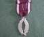Медаль, награда "Пальмовая ветвь ордена "Короны". В серебре. Бельгия.