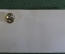 Знак, значок "Шербрук, Sherbrooke". Цанга.