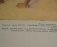 Советский плакат "Верблюды", Наглядное пособие для детских садов. Издательство "Просвещение" 1977 г.