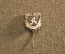 Знак значок "ДСО Авангард", тяжелый металл, горячая эмаль