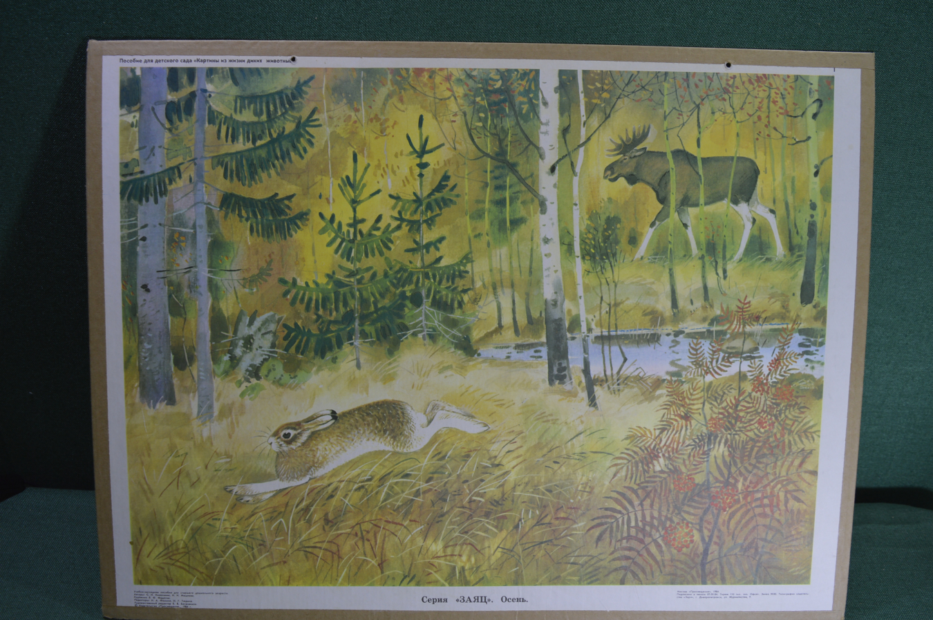 Плакат Лесные животные 1919