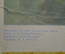 Плакат "Корова с теленком" (серия "Домашние животные"). 1966 год, издательство "Просвещение", СССР.