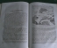 Циттель К.А. Первобытный мир. Очерки из истории мироздания. 1873 г. 